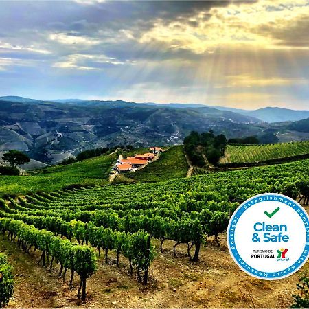 Provesende Quinta Dos Espinheiros 빌라 외부 사진