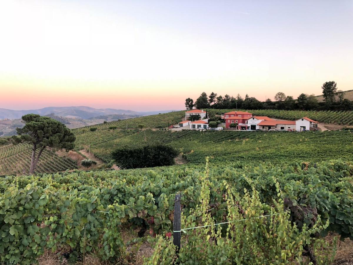 Provesende Quinta Dos Espinheiros 빌라 외부 사진