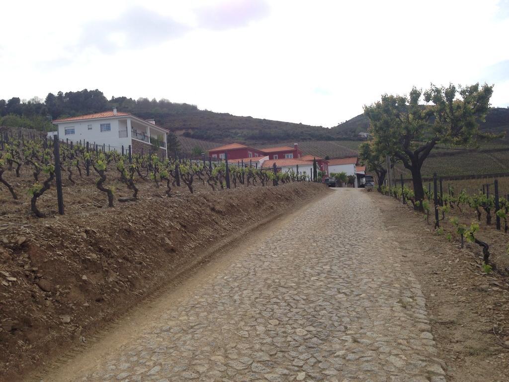 Provesende Quinta Dos Espinheiros 빌라 객실 사진
