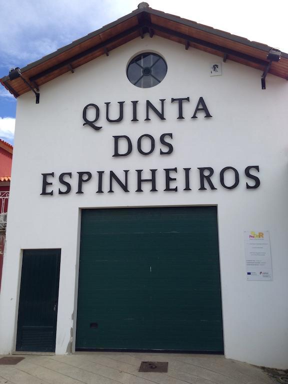 Provesende Quinta Dos Espinheiros 빌라 객실 사진