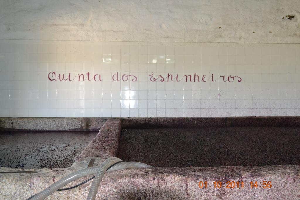 Provesende Quinta Dos Espinheiros 빌라 외부 사진