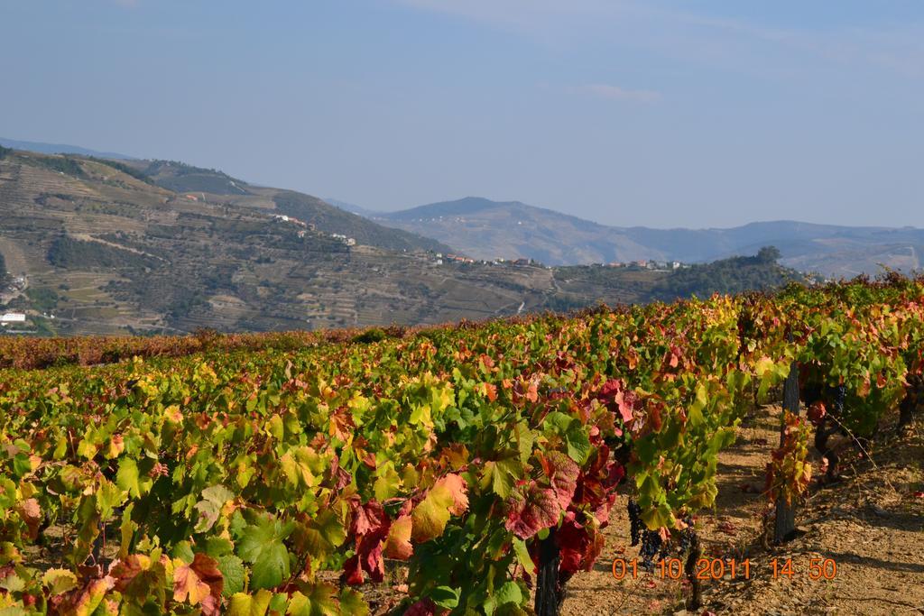 Provesende Quinta Dos Espinheiros 빌라 외부 사진