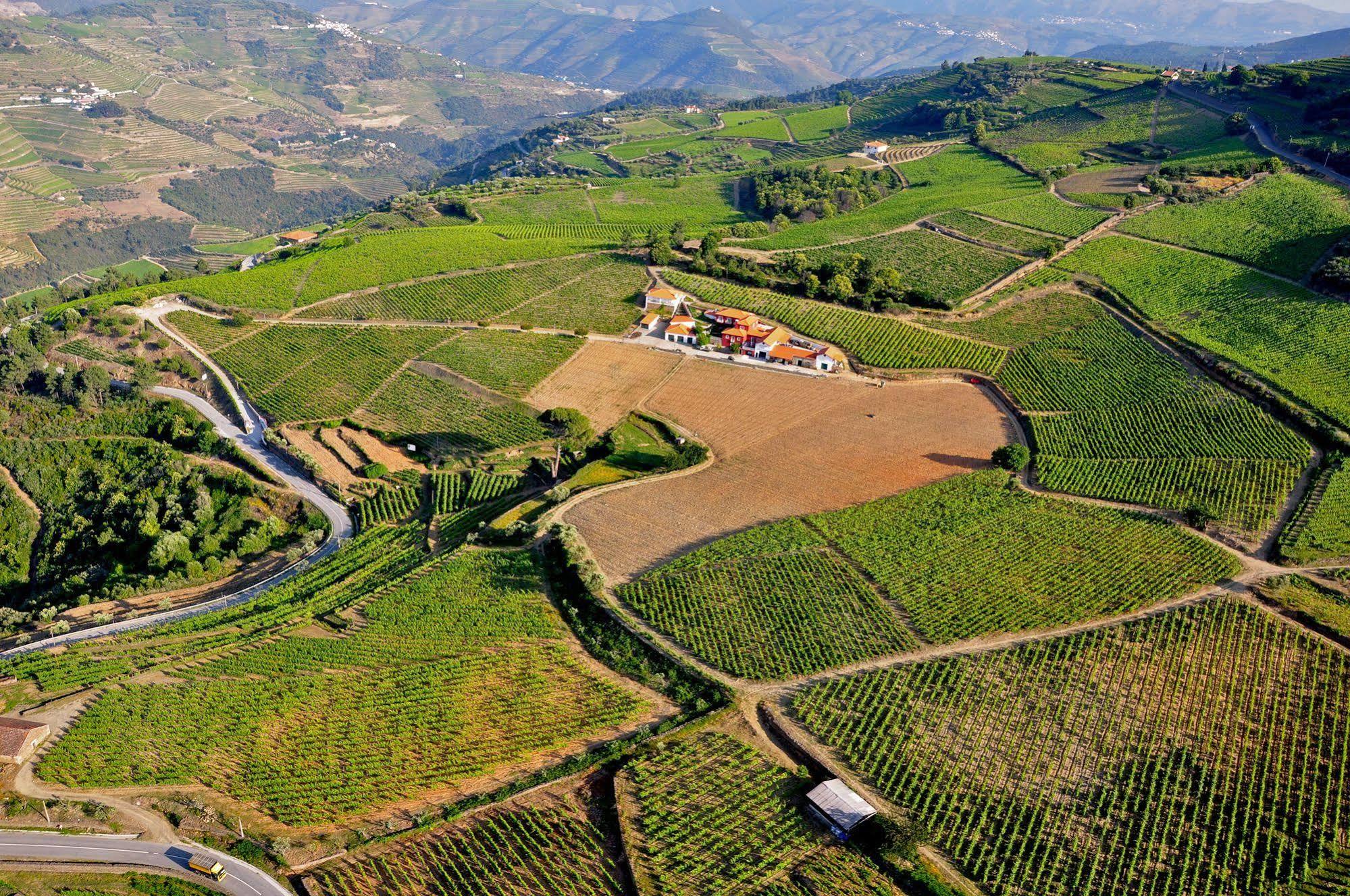 Provesende Quinta Dos Espinheiros 빌라 외부 사진