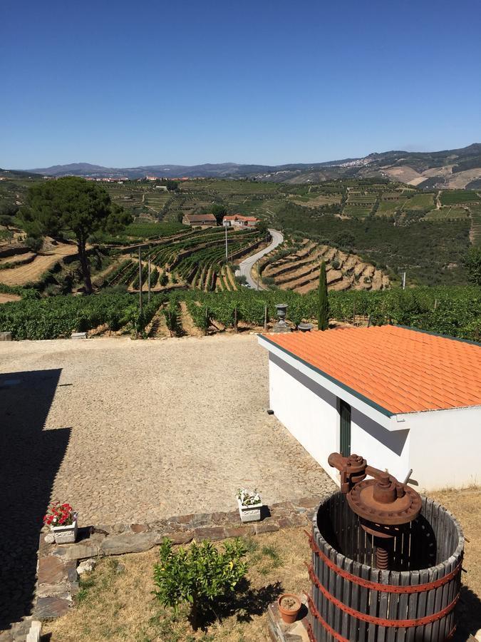 Provesende Quinta Dos Espinheiros 빌라 객실 사진